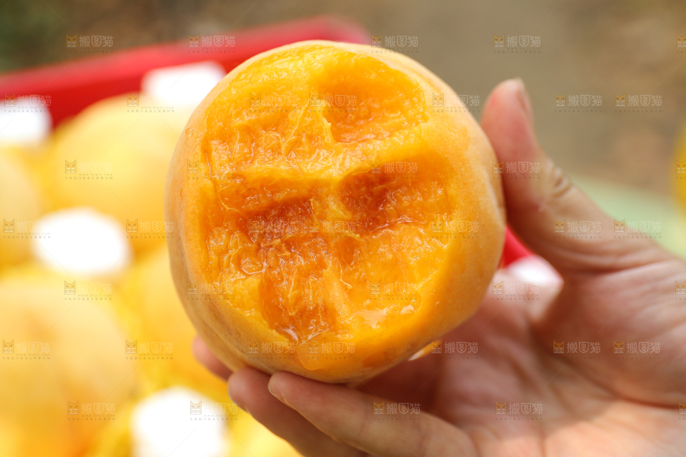 手里拿着炎陵黄桃