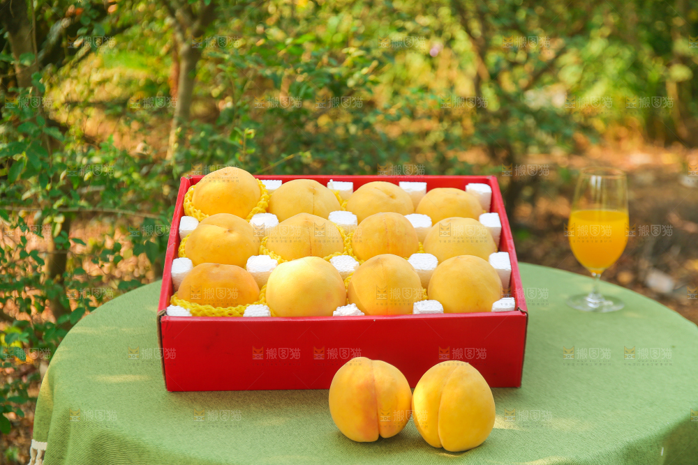 手里拿着炎陵黄桃