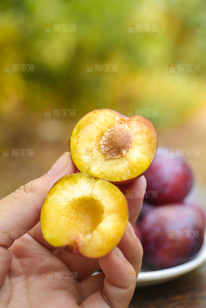 木底上放着红脱骨李