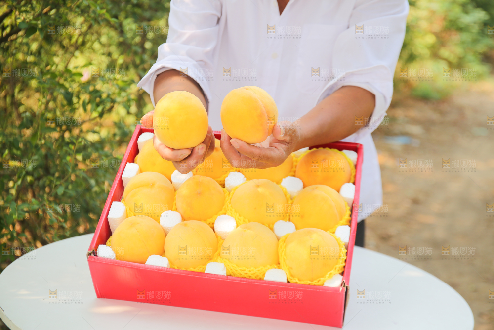 手里拿着炎陵黄桃