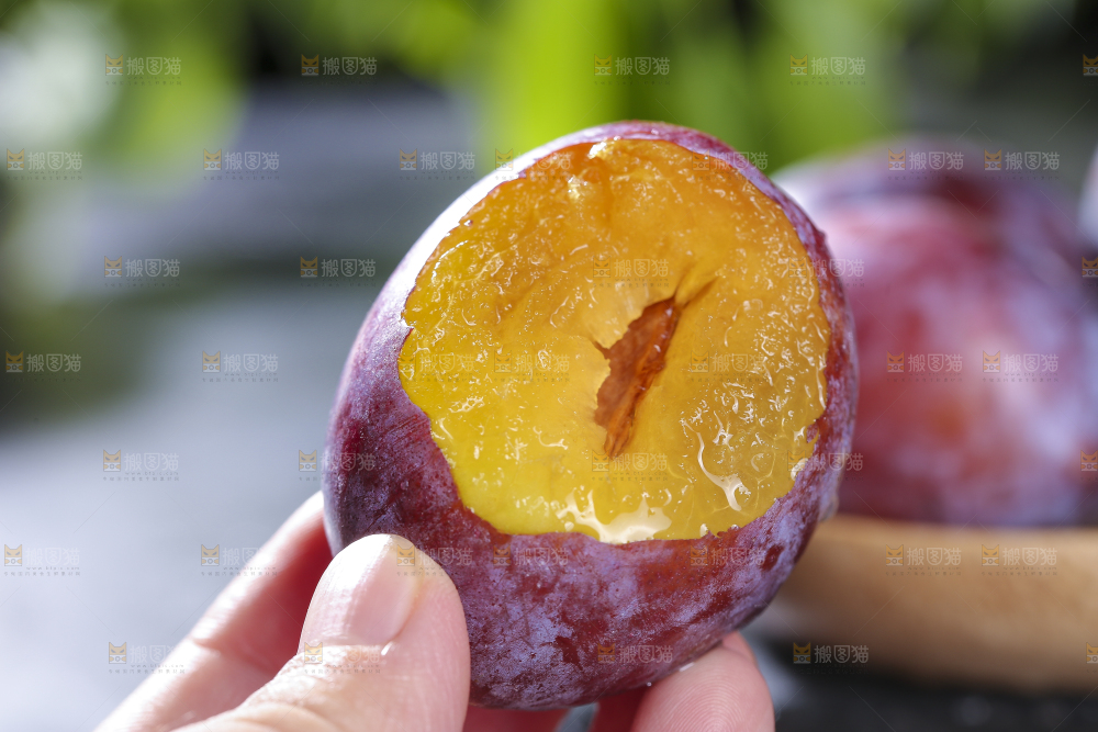 西梅