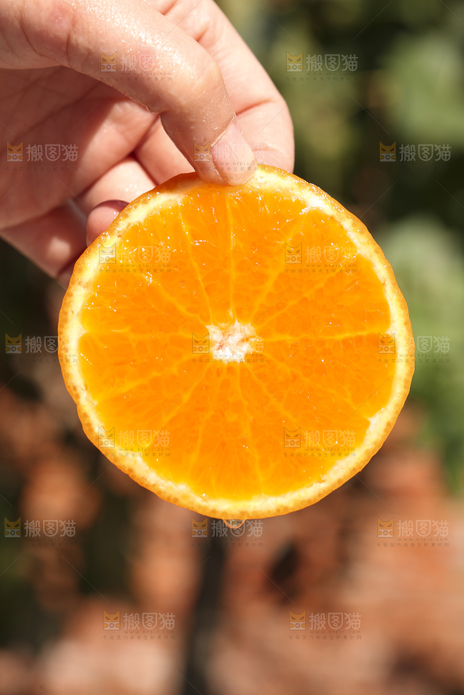 手里拿着进口澳柑