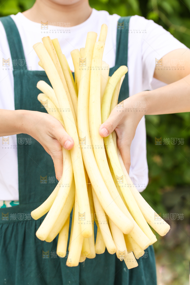 手里拿着藕带