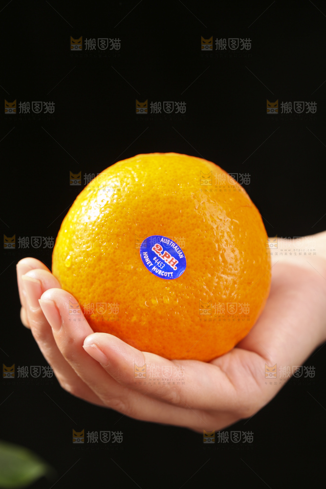 深底上的澳柑
