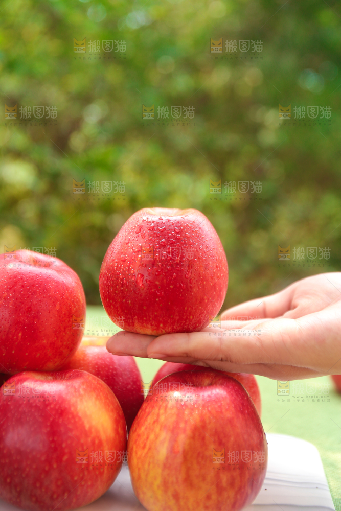 手里拿着高原红苹果