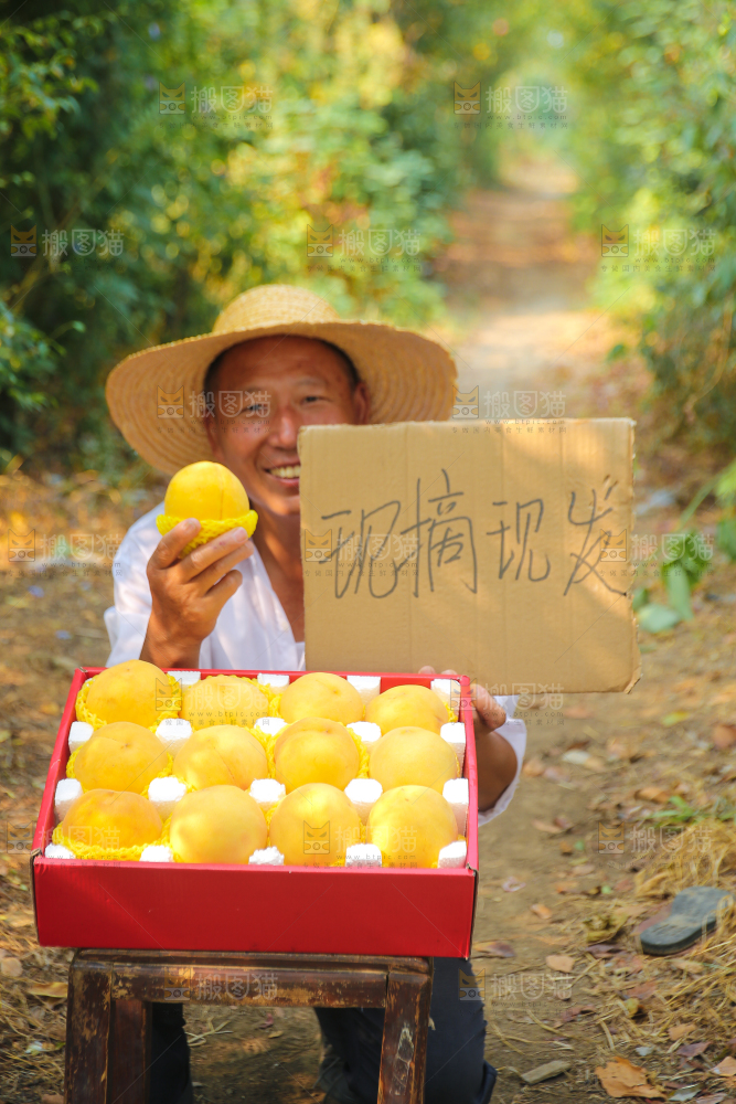 手里拿着炎陵黄桃