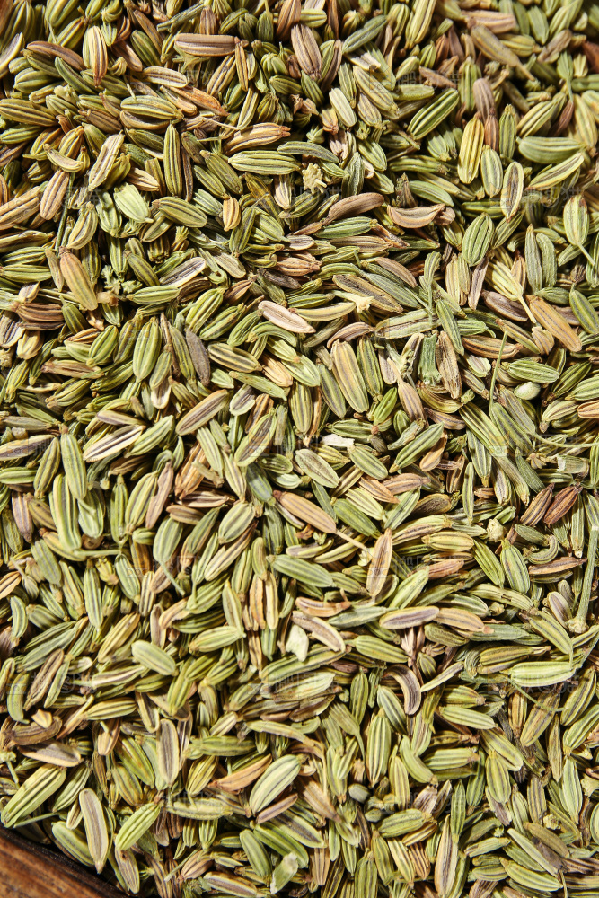 木底上的小茴香籽