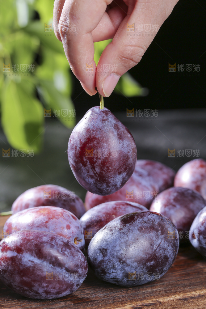 西梅