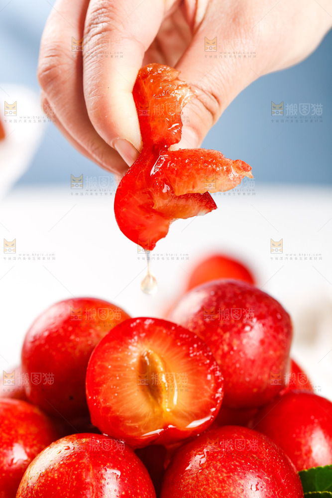 白底上的樱桃李