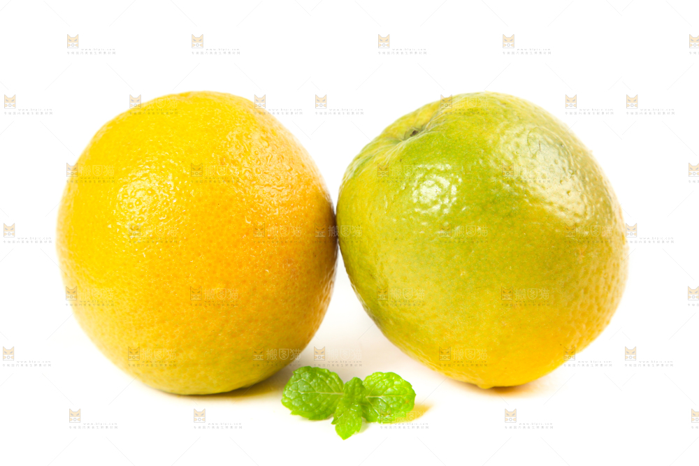 白底上放着的夏橙