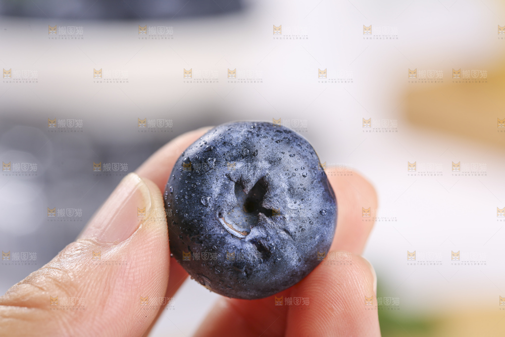 浅底上的新鲜蓝莓