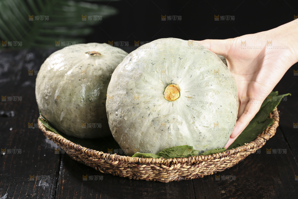 银栗南瓜