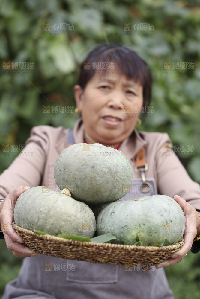 手里拿着银栗南瓜