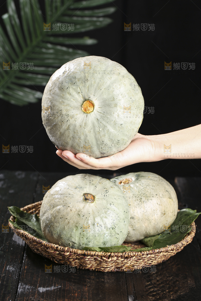 深底上的银栗南瓜