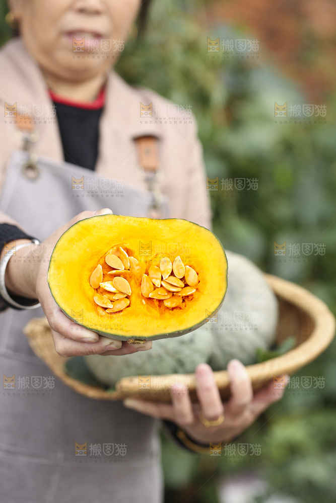 手里拿着银栗南瓜