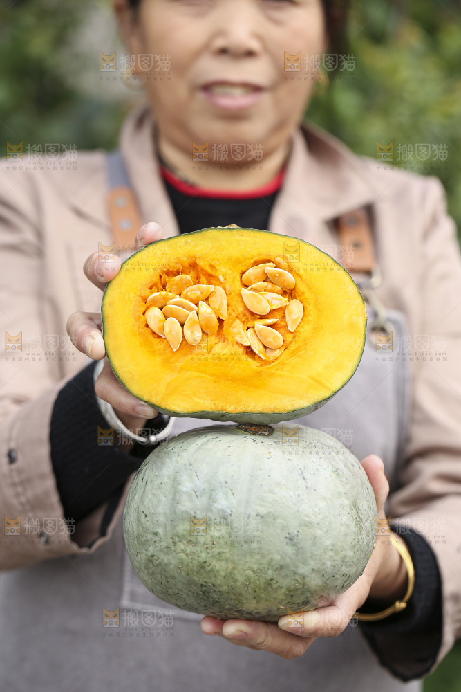 手里拿着银栗南瓜