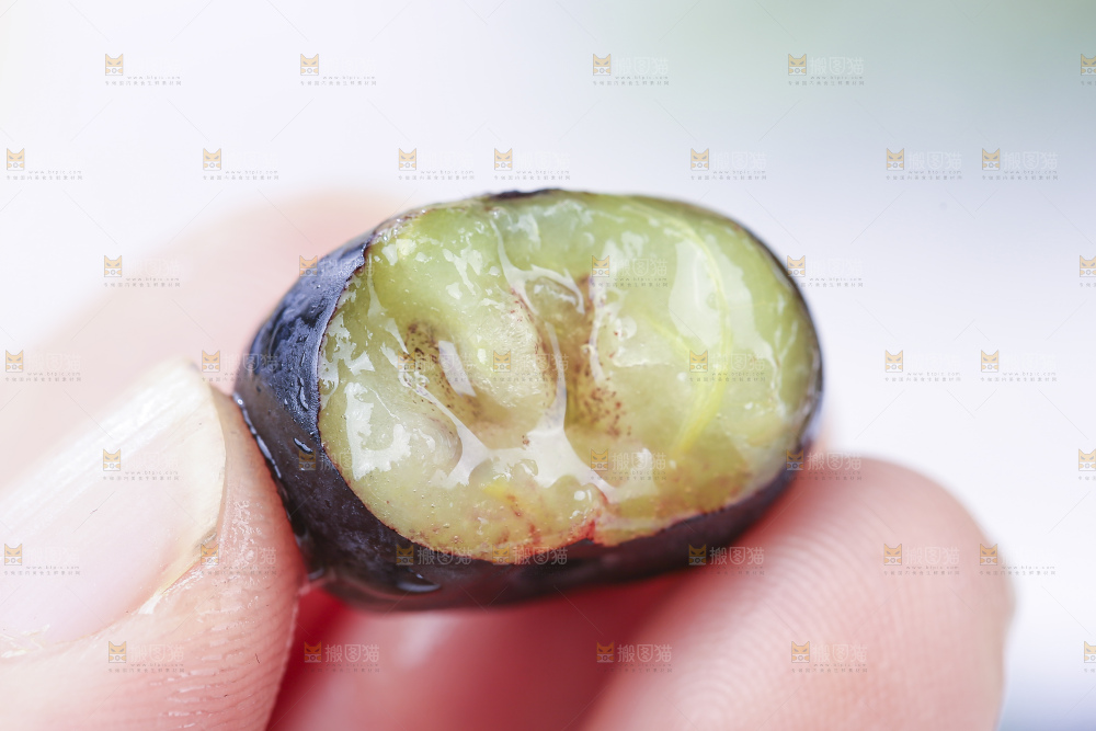 浅底上的新鲜蓝莓
