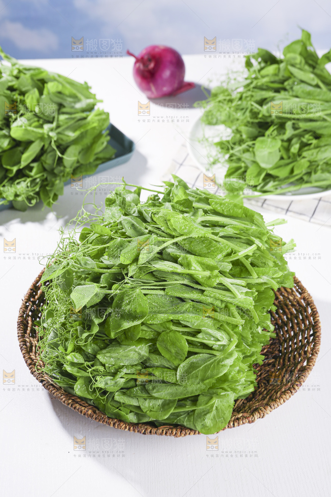 浅底上的豌豆尖