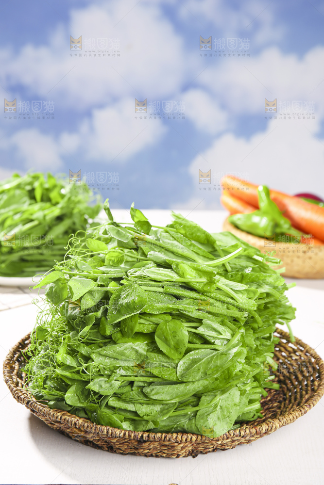 浅底上的豌豆尖