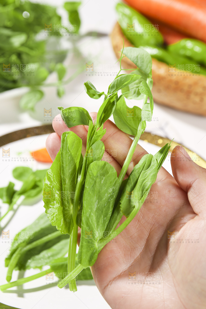 浅底上的豌豆尖