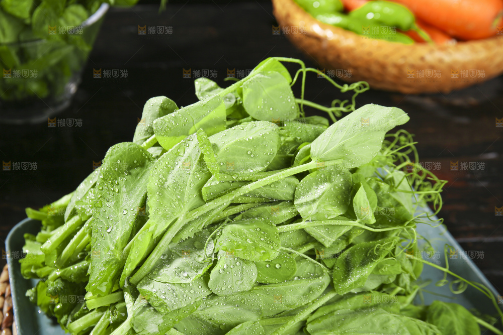 深底上的豌豆苗