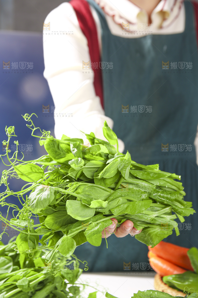浅底上的豌豆尖