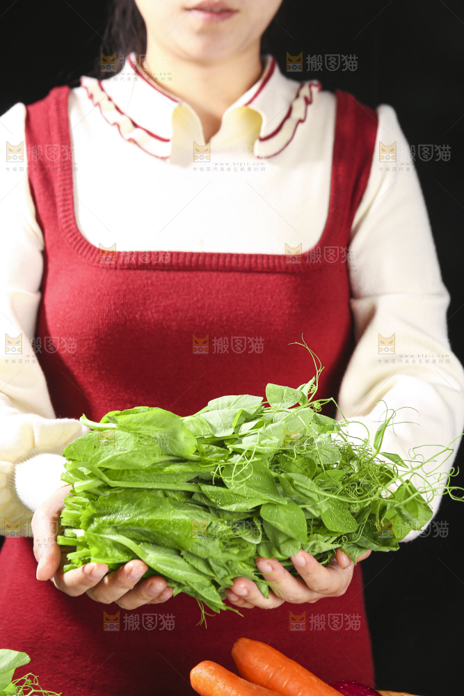 深底上的豌豆苗