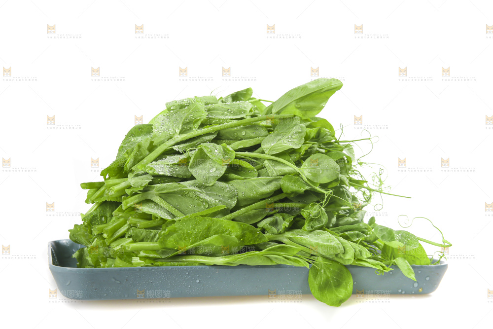 白底上的豌豆苗