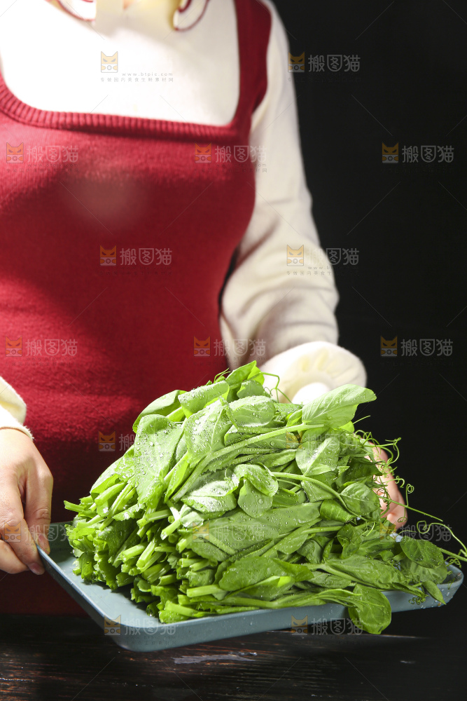 深底上的豌豆苗