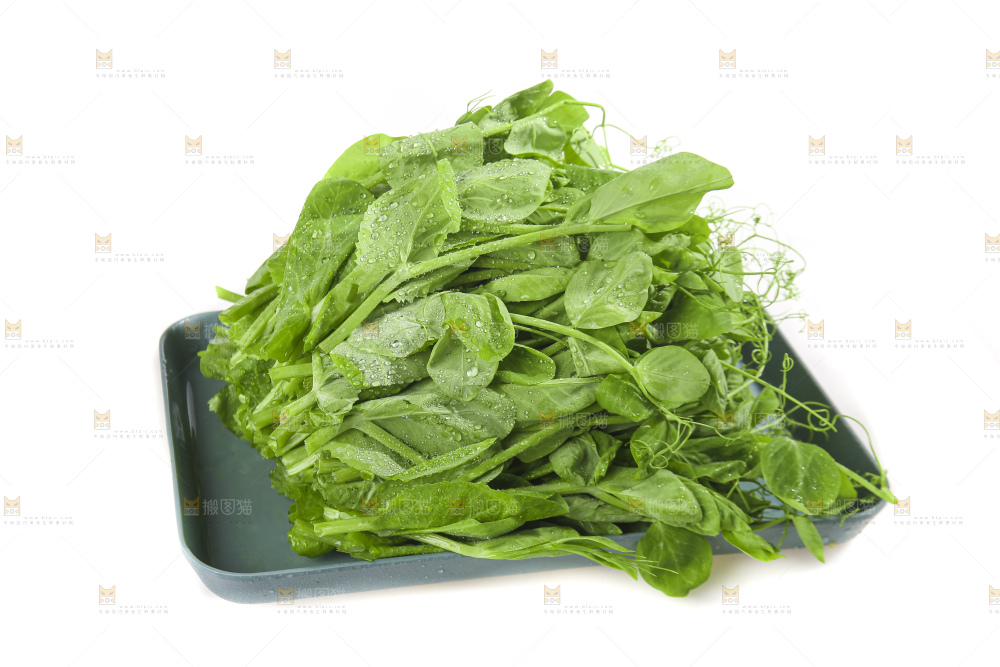 白底上的豌豆苗