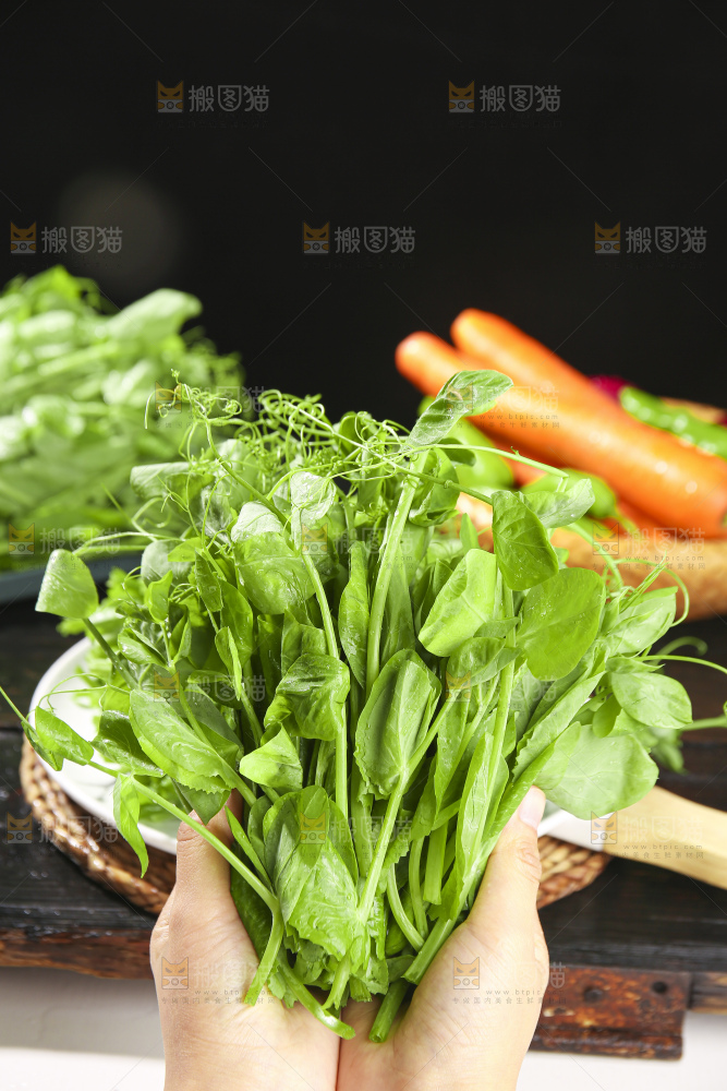 深底上的豌豆苗