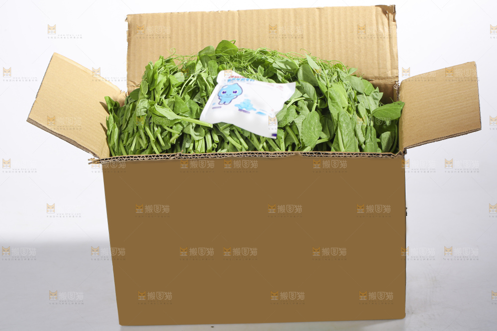 白底上的新鲜豌豆尖