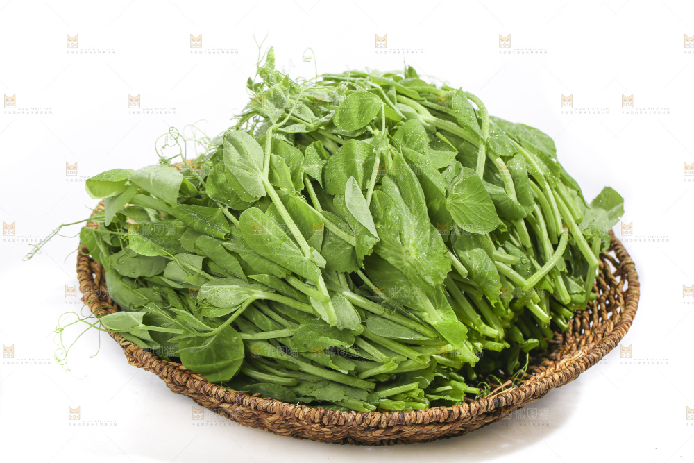 白底上的豌豆苗