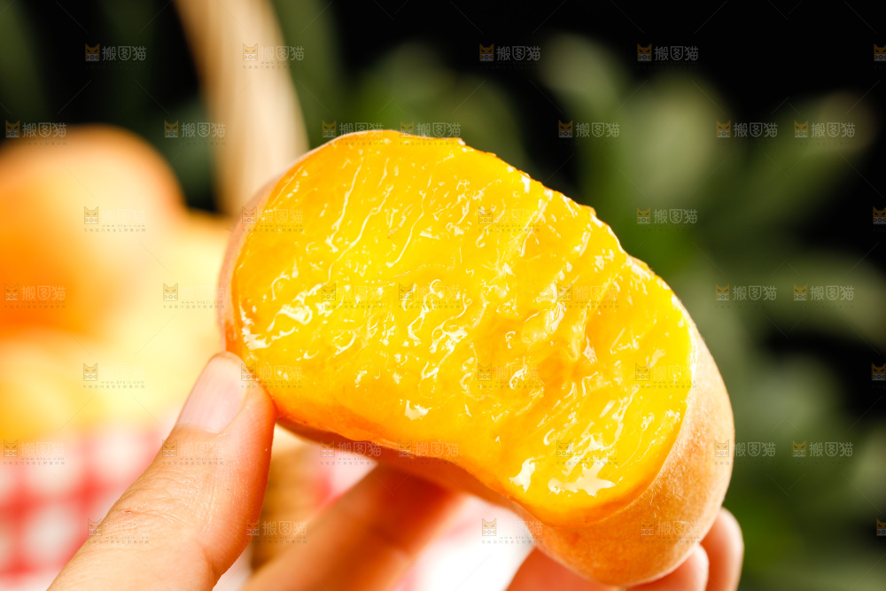黄金毛蟠桃