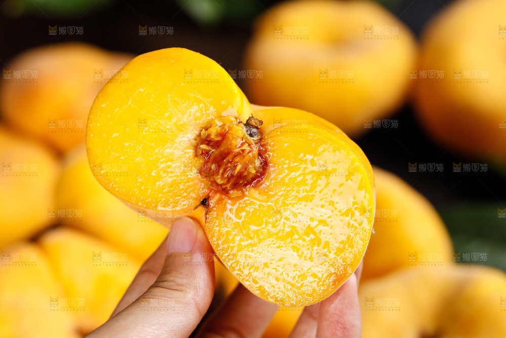 深底上的黄毛蟠桃