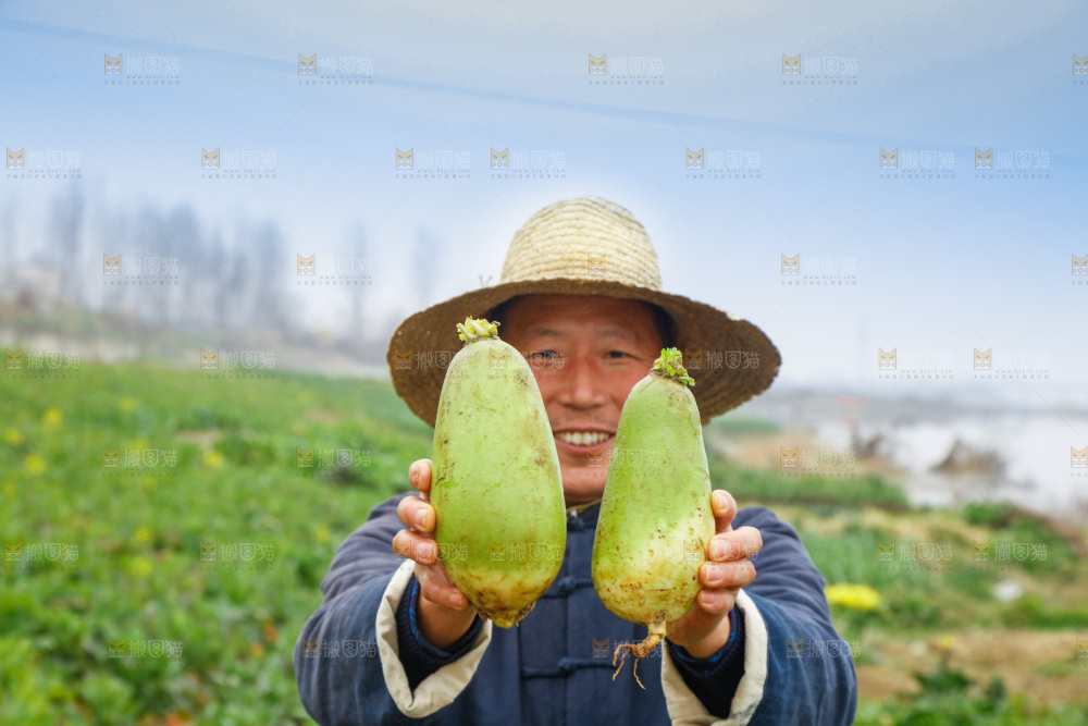 手里拿着水果萝卜