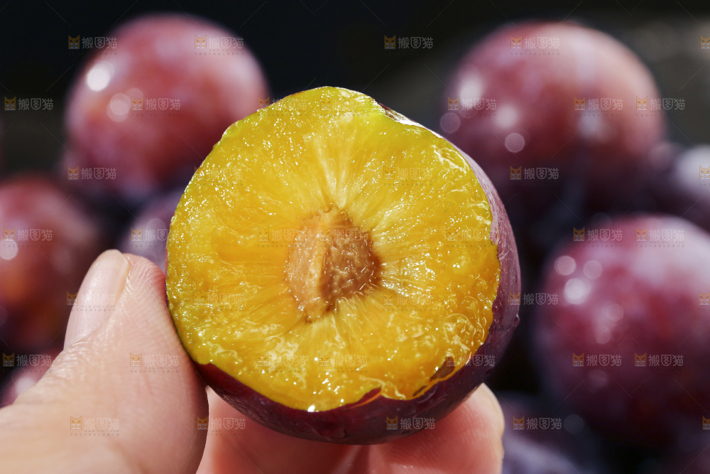 红脆李