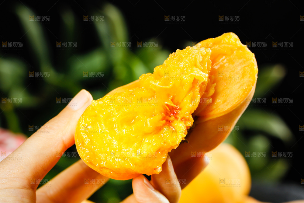 深底上的黄毛蟠桃