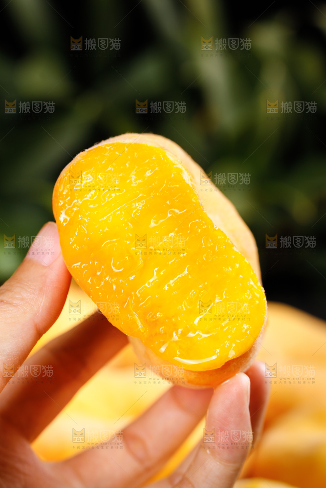 深底上的黄毛蟠桃