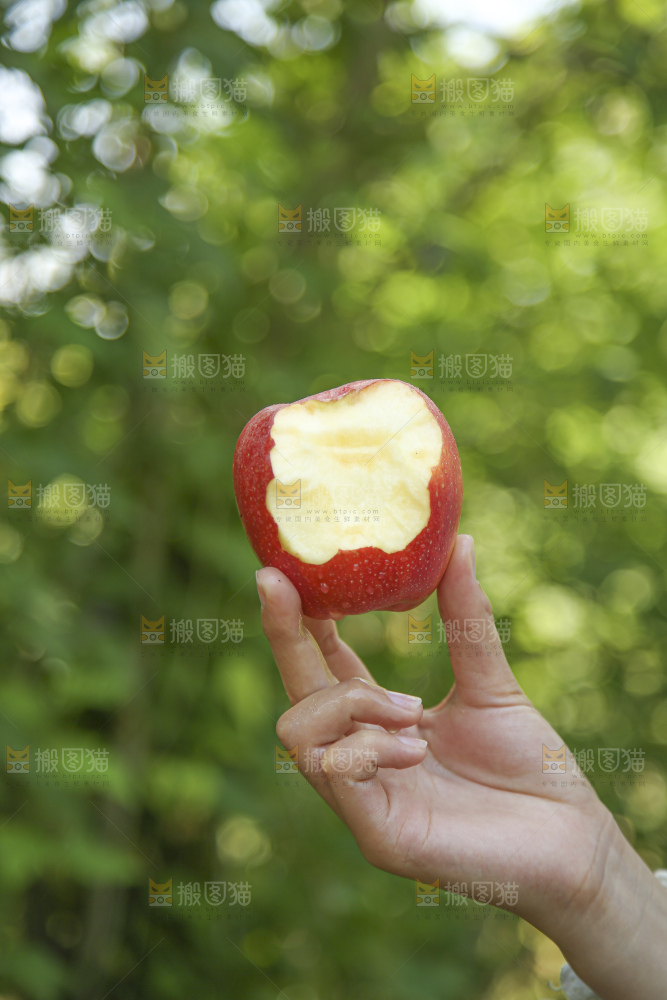 手里拿着高原红苹果