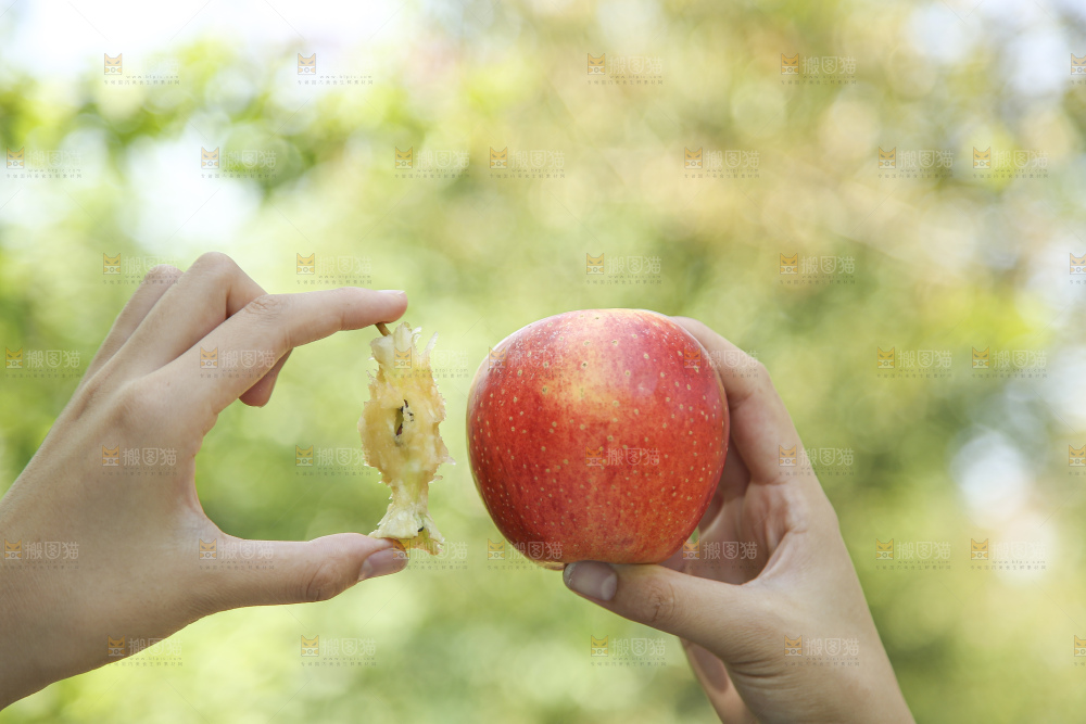 手里拿着高原红苹果