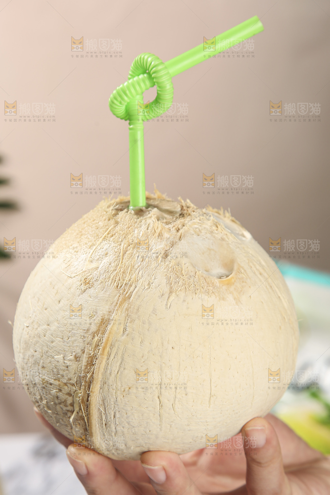浅底上的泰国进口烤椰