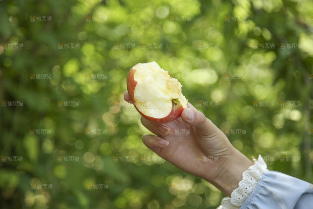 手里拿着高原红苹果