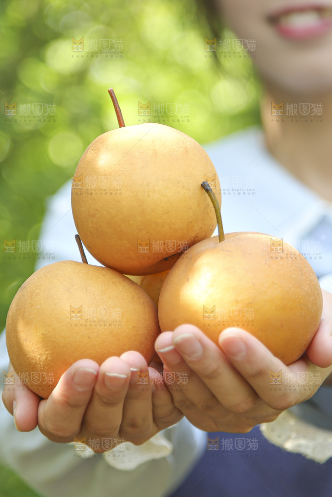 手里拿着莱阳秋月梨