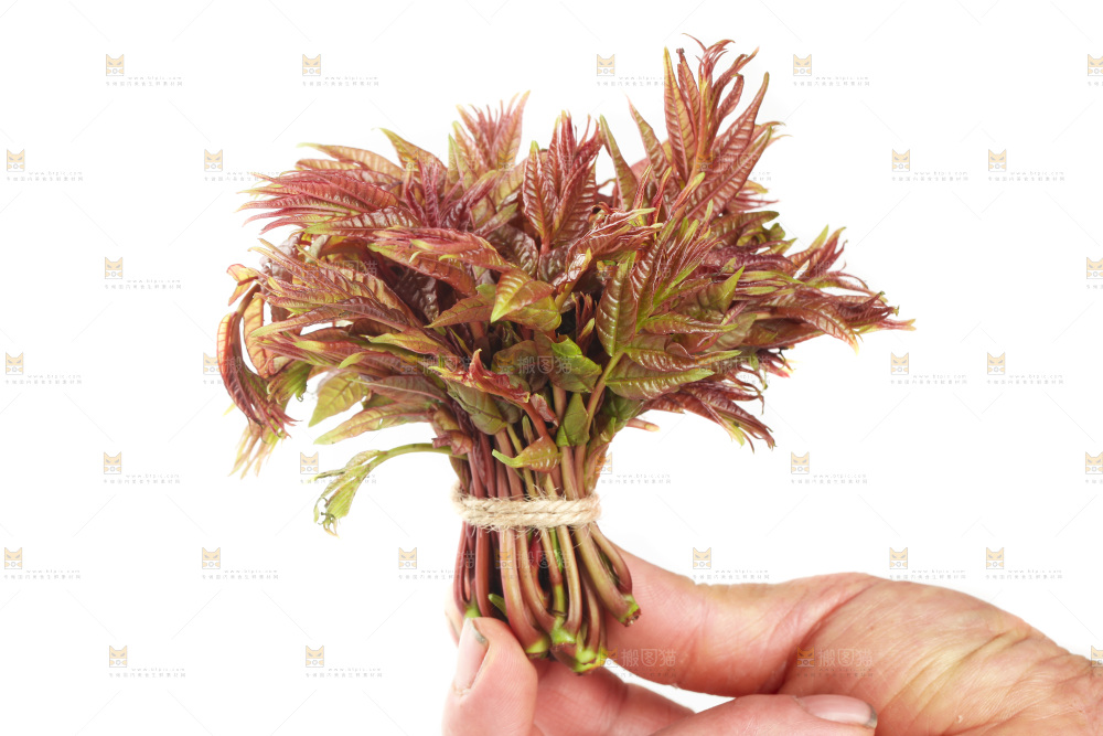 白底上放着红芽香椿