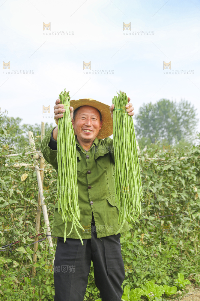 手里拿着长豇豆