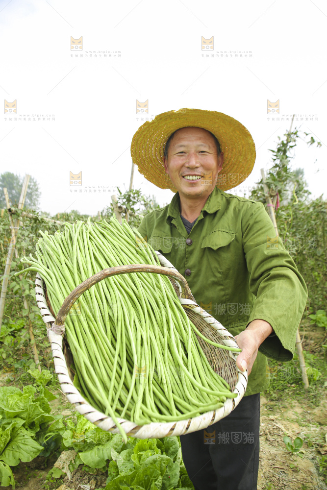 手里拿着鲜嫩长豆角