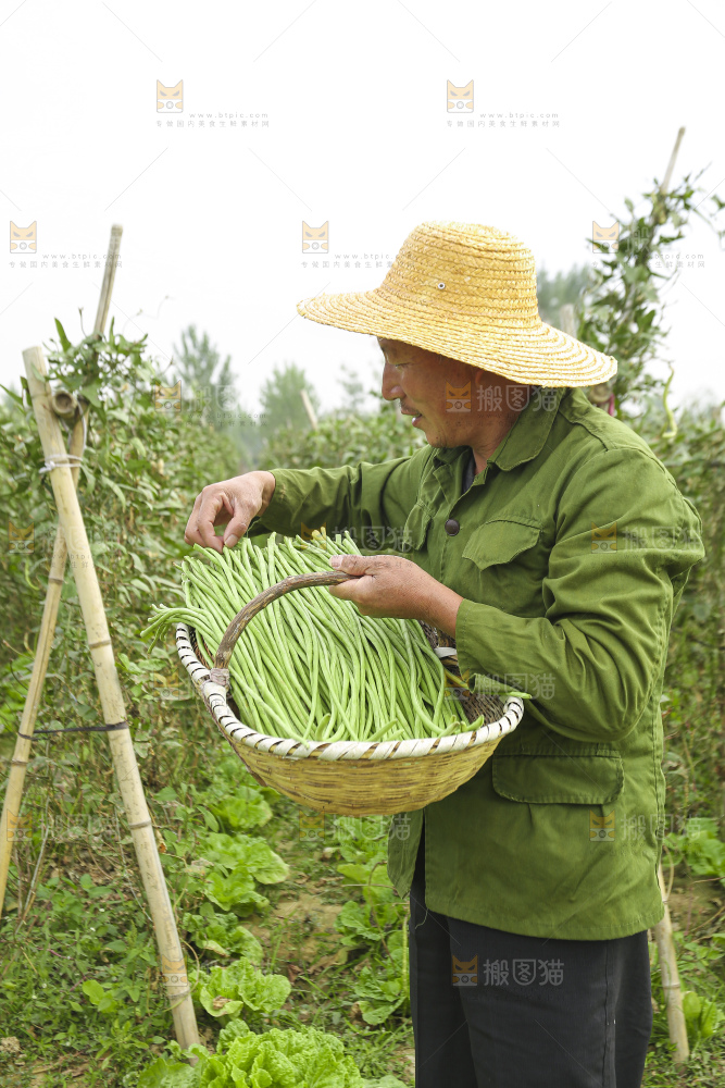 手里拿着鲜嫩长豆角
