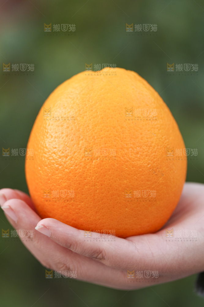 赣南脐橙
