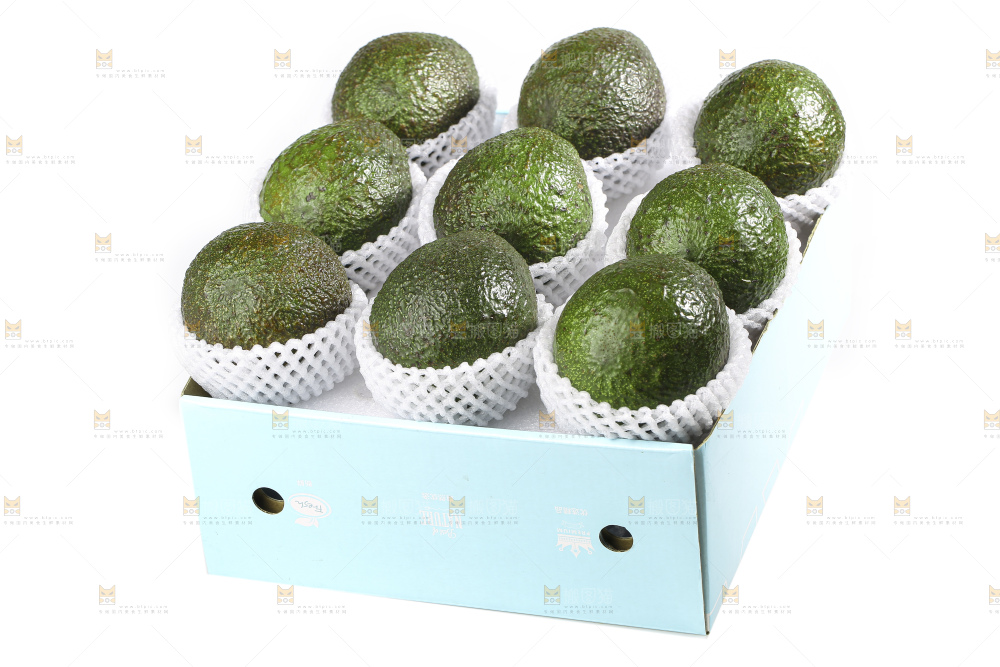 白底上的牛油果
